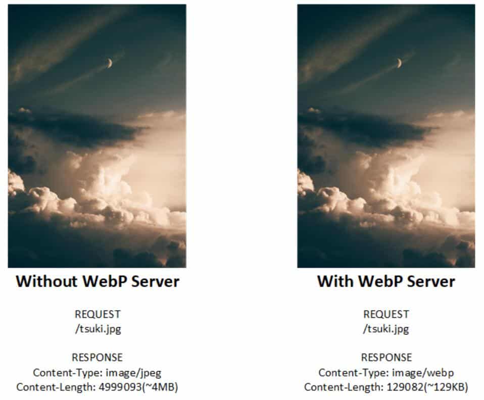 Here is how to switch your website image format to WebP