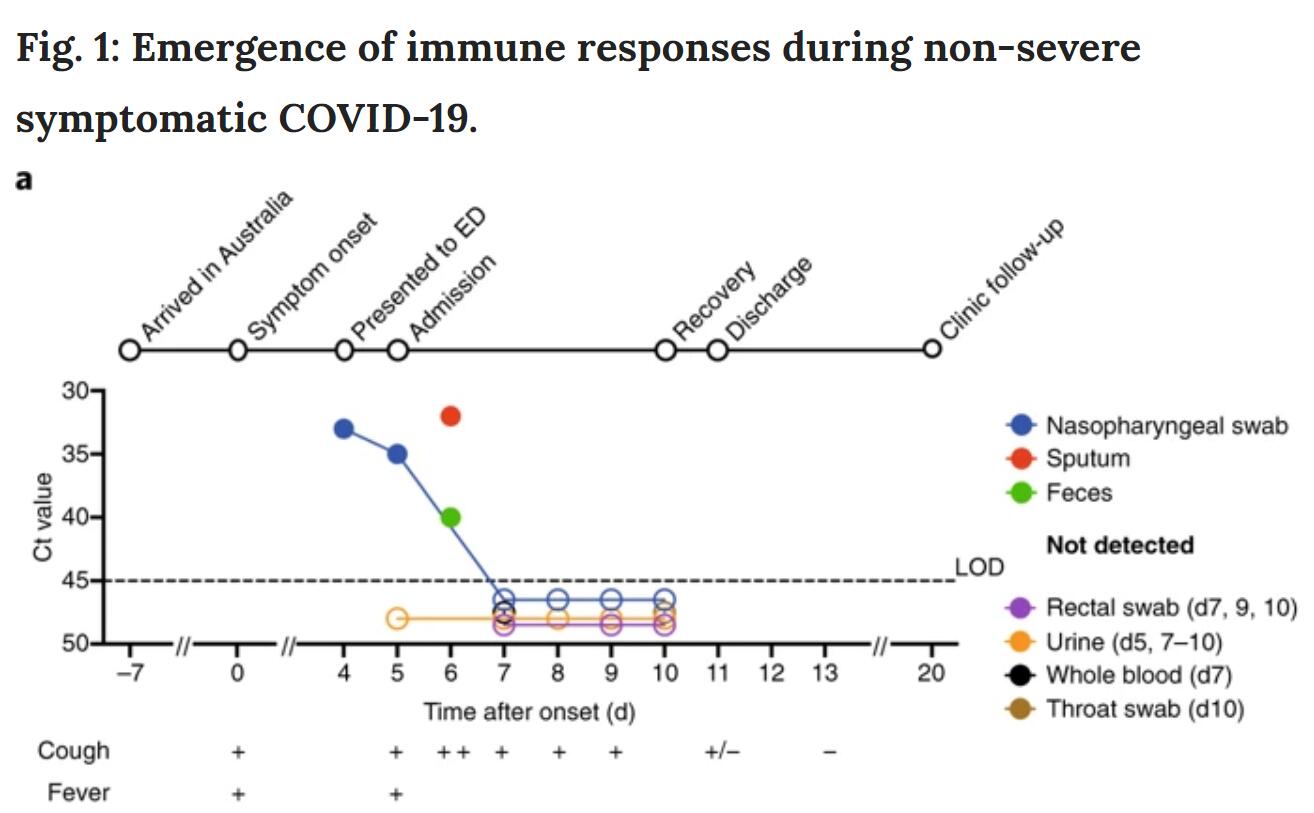 Researchers discover how the body kills coronavirus-CnTechPost