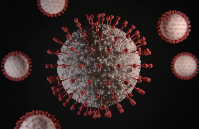 Czech Republic orders new coronavirus rapid test kit from China