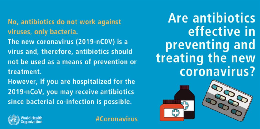Can coronavirus be transmitted via mosquito bites? WHO explains-CnTechPost