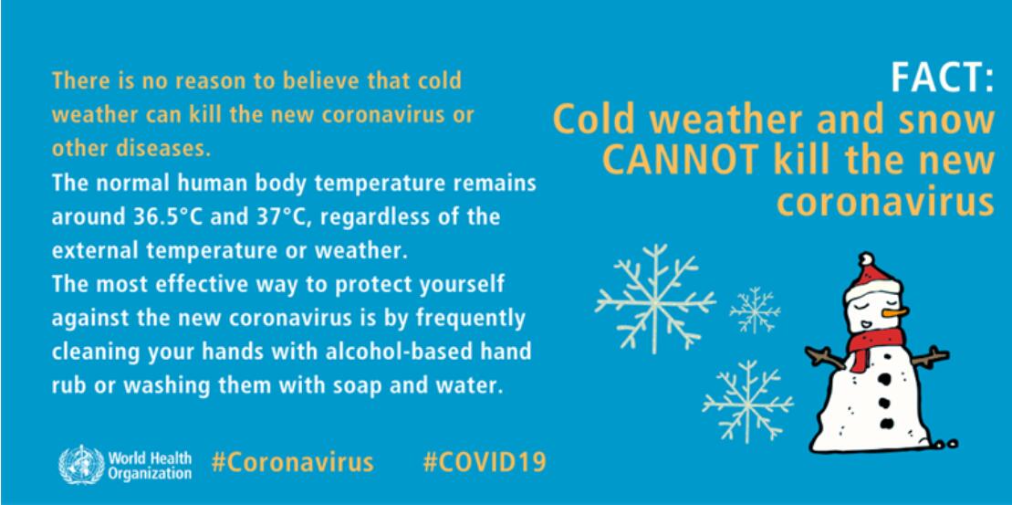 Can coronavirus be transmitted via mosquito bites? WHO explains-CnTechPost