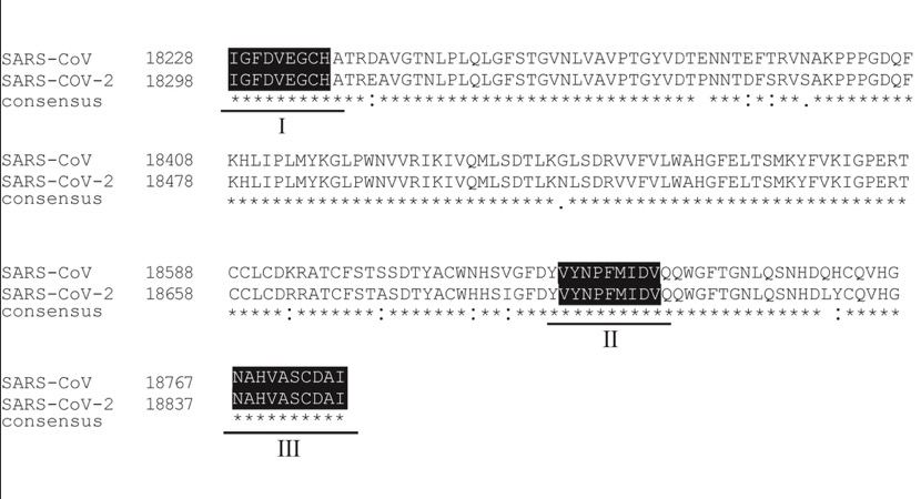 Coronavirus may evolve rapidly, study finds-CnTechPost