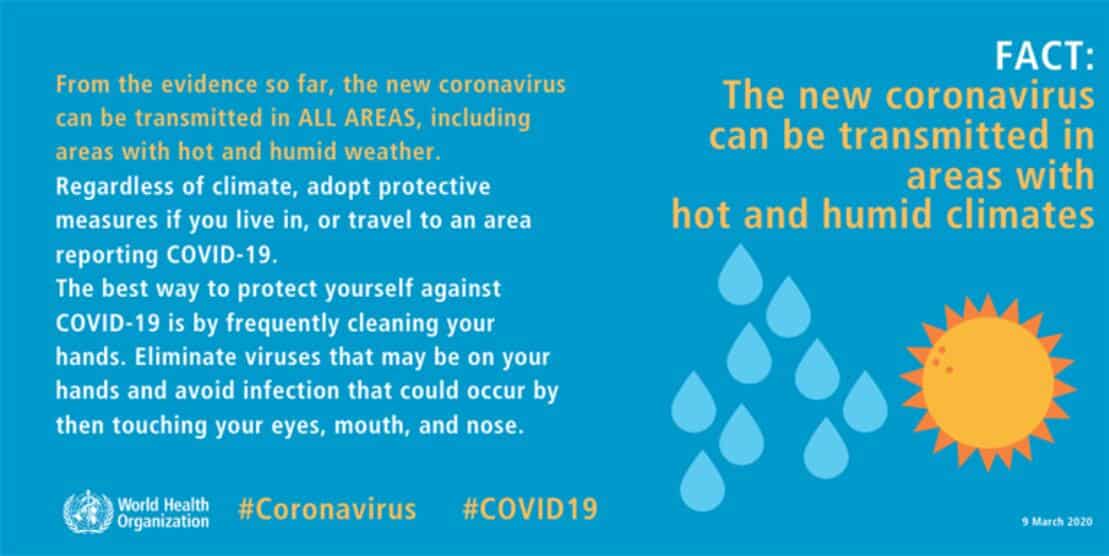Can coronavirus be transmitted via mosquito bites? WHO explains-CnTechPost
