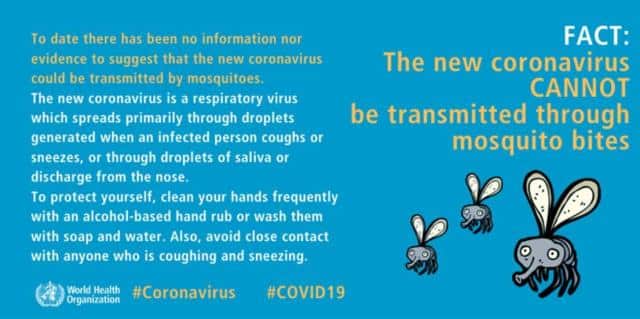 Can coronaviruses spread through mosquitoes?-CnTechPost