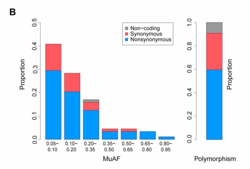 Coronavirus may evolve rapidly, study finds-CnTechPost