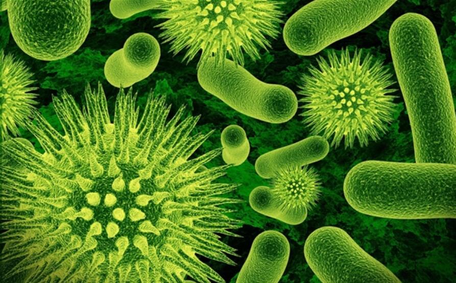 New research brings us closer to drugs against coronavirus