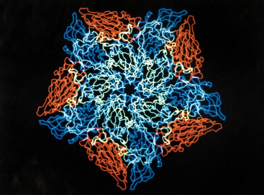 What does 'global pandemic' mean?