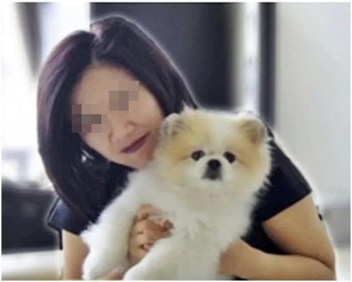 Hong Kong pet dog's new coronavirus sera test turns negative