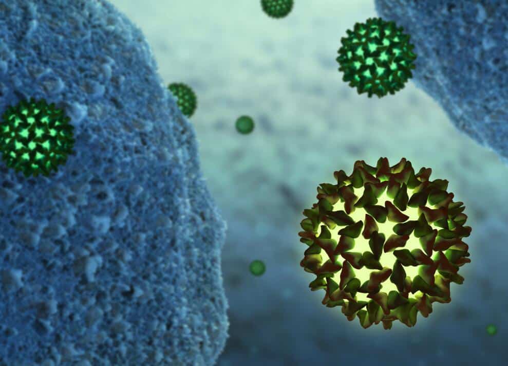 Researchers find necessary factors for hepatitis B infection, one step closer to healing