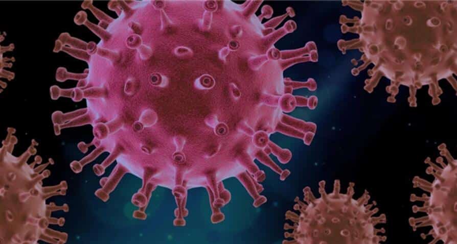 Can coronaviruses spread through mosquitoes?