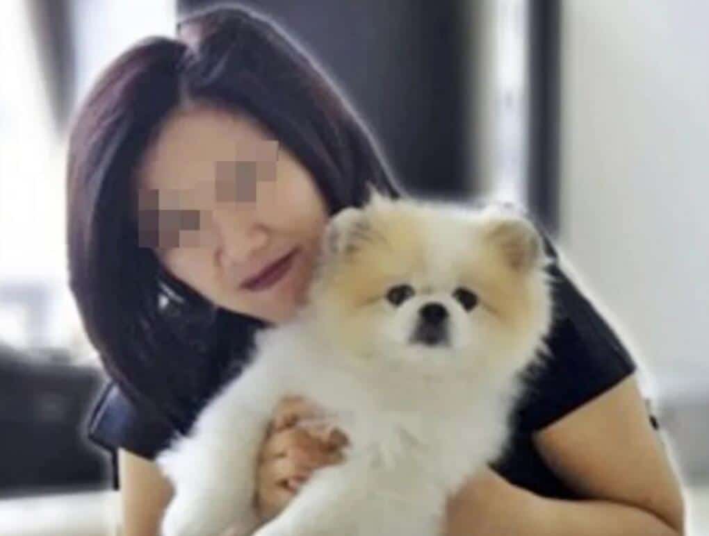 The world's first coronavirus-positive pet dog has died