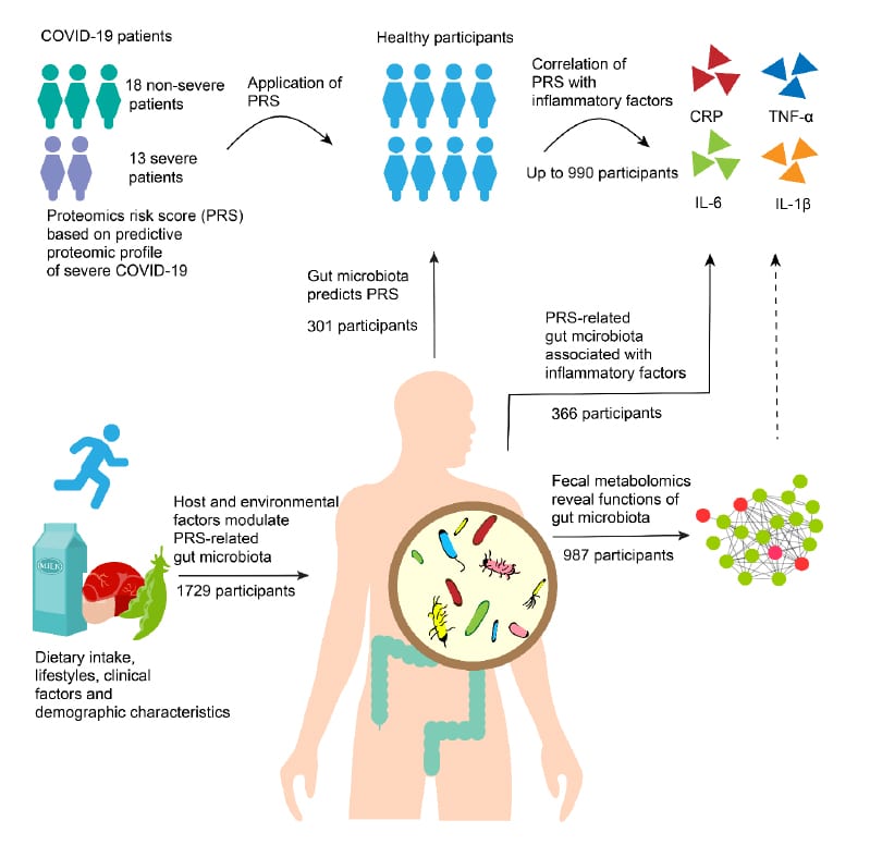 Gut flora may predict susceptibility to Covid-19-CnTechPost