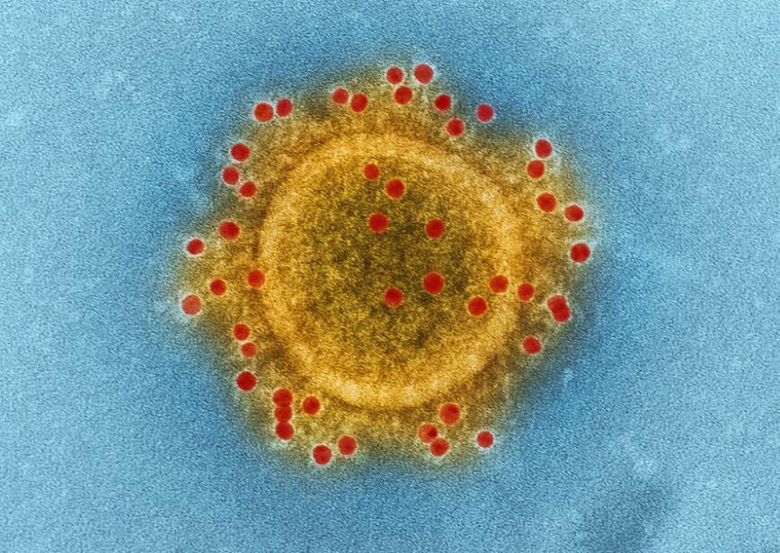 What role does immunity play in treatment of Covid-19?