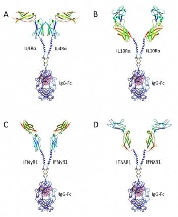 Researchers develop engineered proteins that can mitigate cytokine storms-CnTechPost