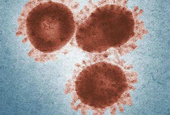 What is the impact of the new coronavirus mutation?