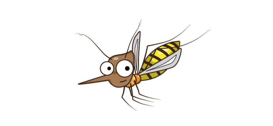 Can mosquitoes transmit coronavirus? Expert explains in video