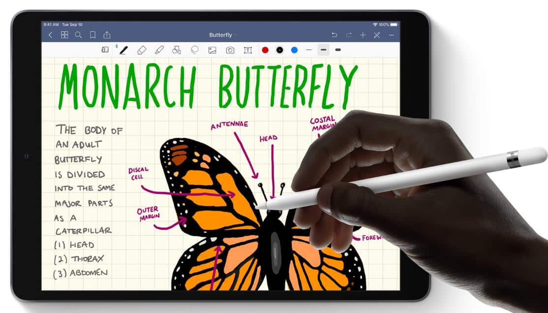 iPad app downloads spike due to Covid-19 outbreak