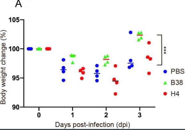 Chinese scholars identify 2 antibodies that block coronavirus invasion-CnTechPost