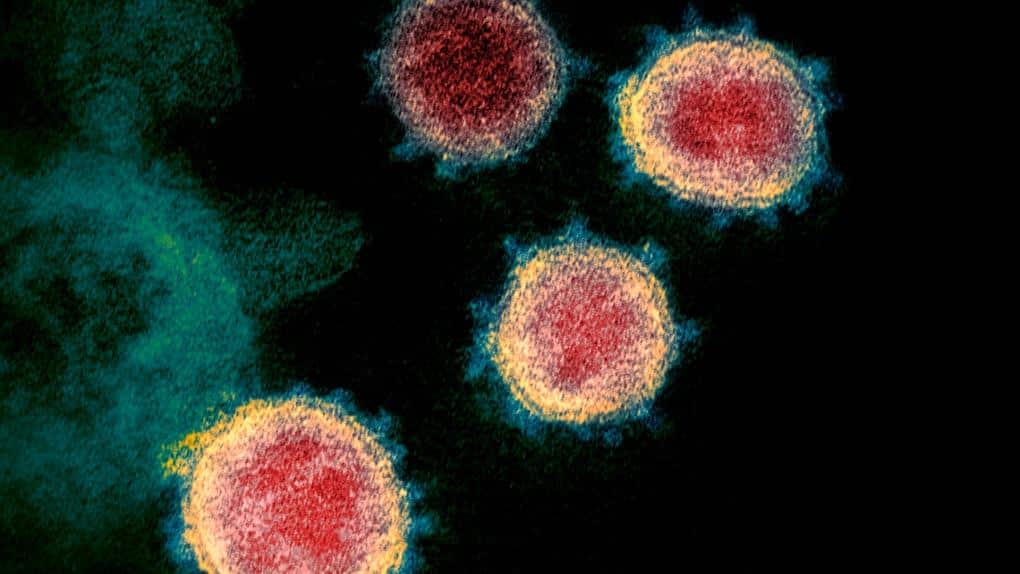 Chinese team finds new coronavirus survives in semen
