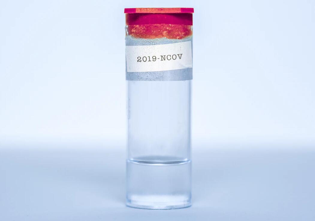Chinese team releases results of world's first animal study of coronavirus vaccine
