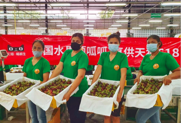 Thai government joins China's mid-year shopping festival with fruit supplies-CnTechPost