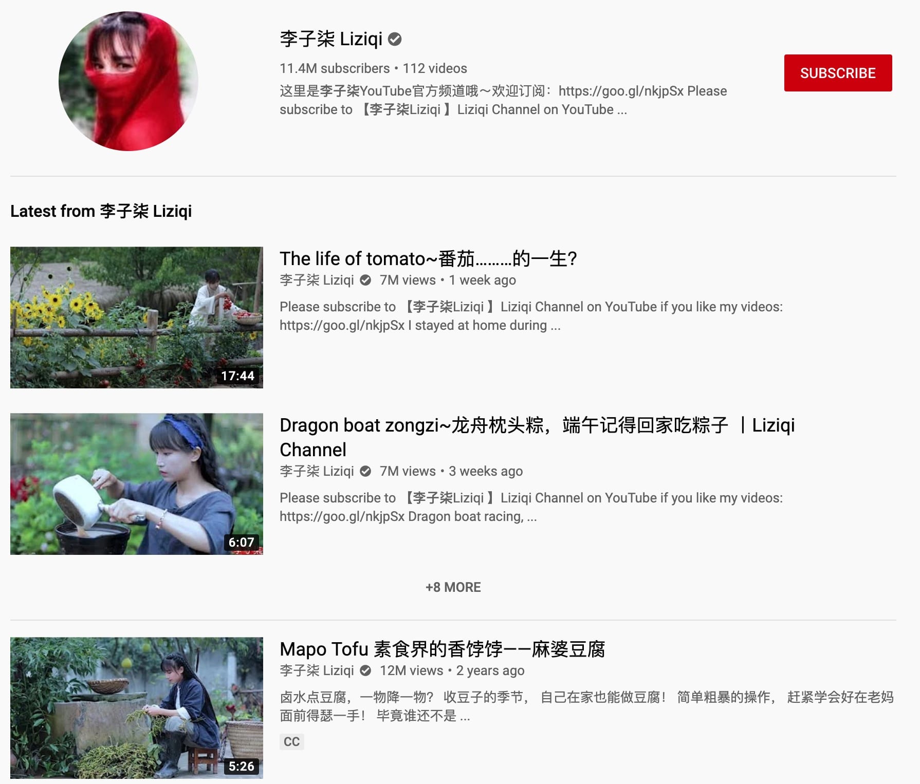 More Chinese become YouTube celebrities-CnTechPost