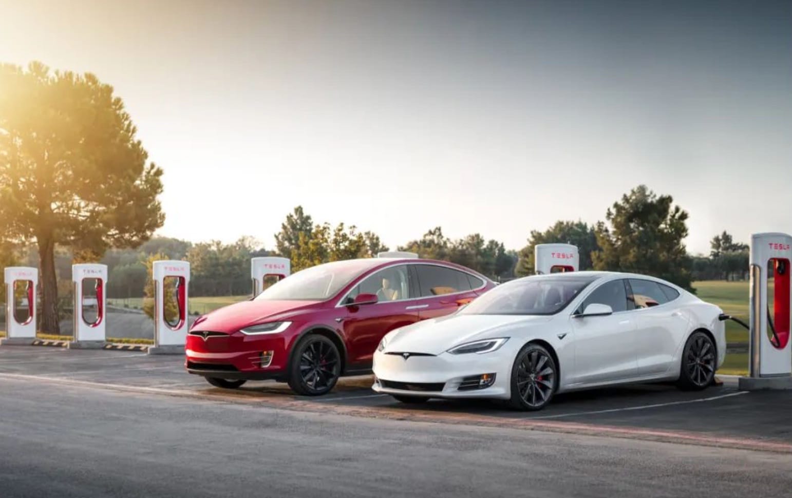 Tesla confirms entry-level China-made Model 3 uses lithium iron phosphate batteries-CnTechPost