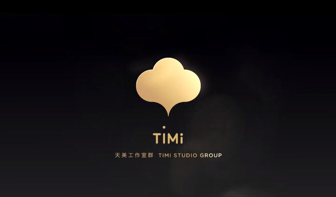 timi studio group