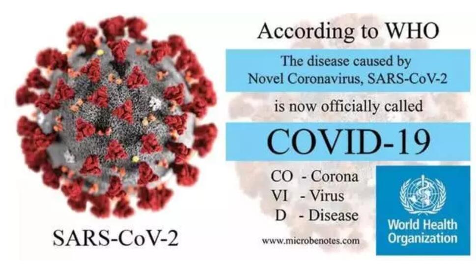Can antibodies clear the new coronaviruses?-CnTechPost