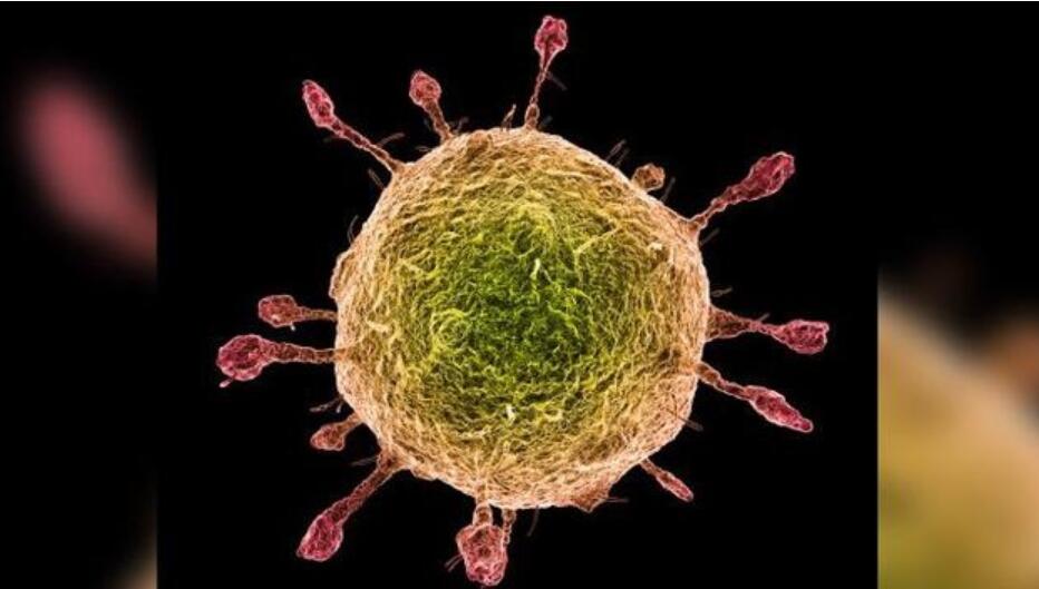 What is the difference between coronavirus and influenza virus?-CnTechPost