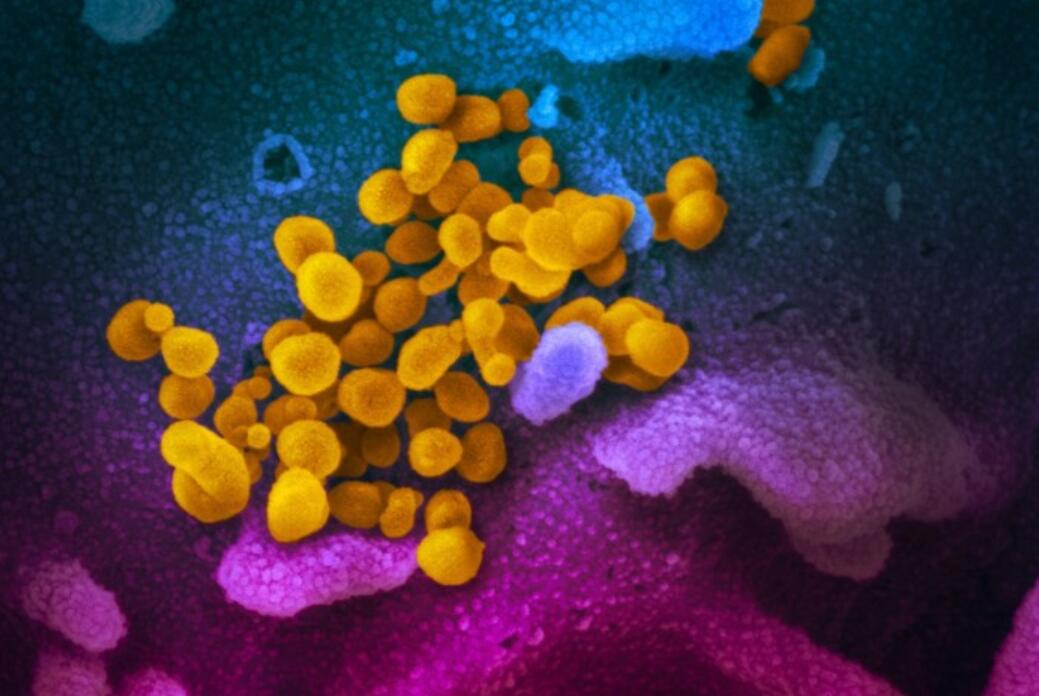 Researchers confused as Covid-19 patients test positive after discharge