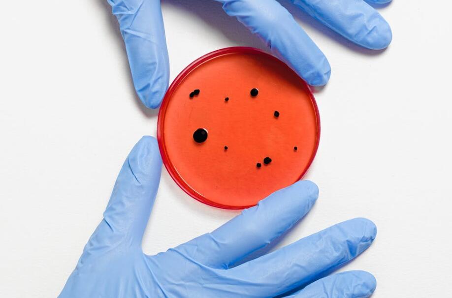 Will coronavirus disappear as temperature rises? Expert explains