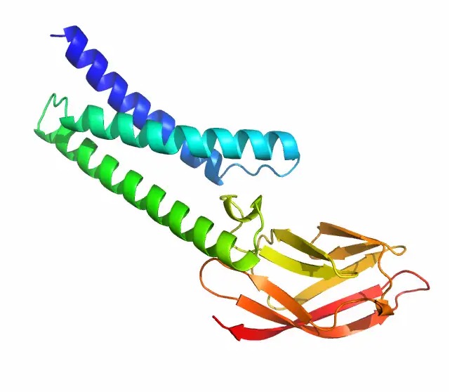 DeepMind reveals possible coronavirus protein structures to aid vaccine development-CnTechPost
