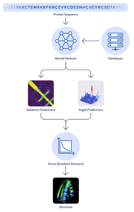 DeepMind reveals possible coronavirus protein structures to aid vaccine development-CnTechPost